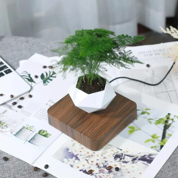 Levitating Air Bonsai Pot Rotation Flower Pot - Image 6